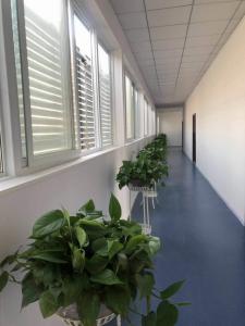 河南美術(shù)統(tǒng)考的評(píng)分標(biāo)準(zhǔn)是什么呢?洛陽(yáng)畫室告訴您!